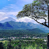 Menikmati Keindahan Alam Indonesia Dari Bukit Mendelem Pemalang