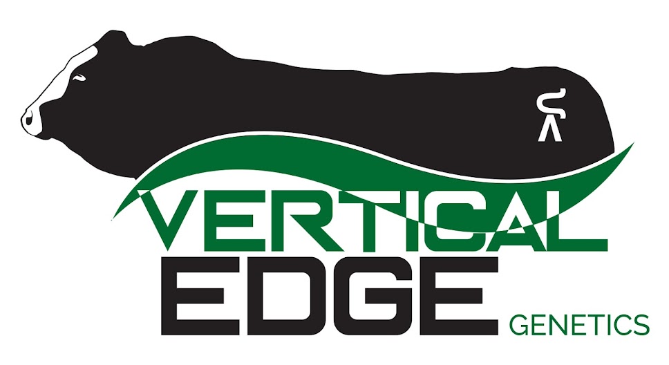 Vertical Edge Genetics