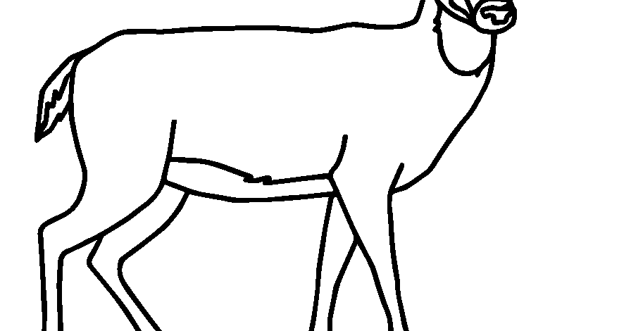 gambar mewarnai hewan rusa