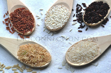 Image of some rice varieties