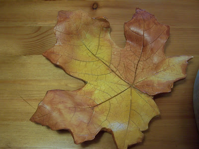 Beatrice Euphemie: Autumn Leaf Sculptures