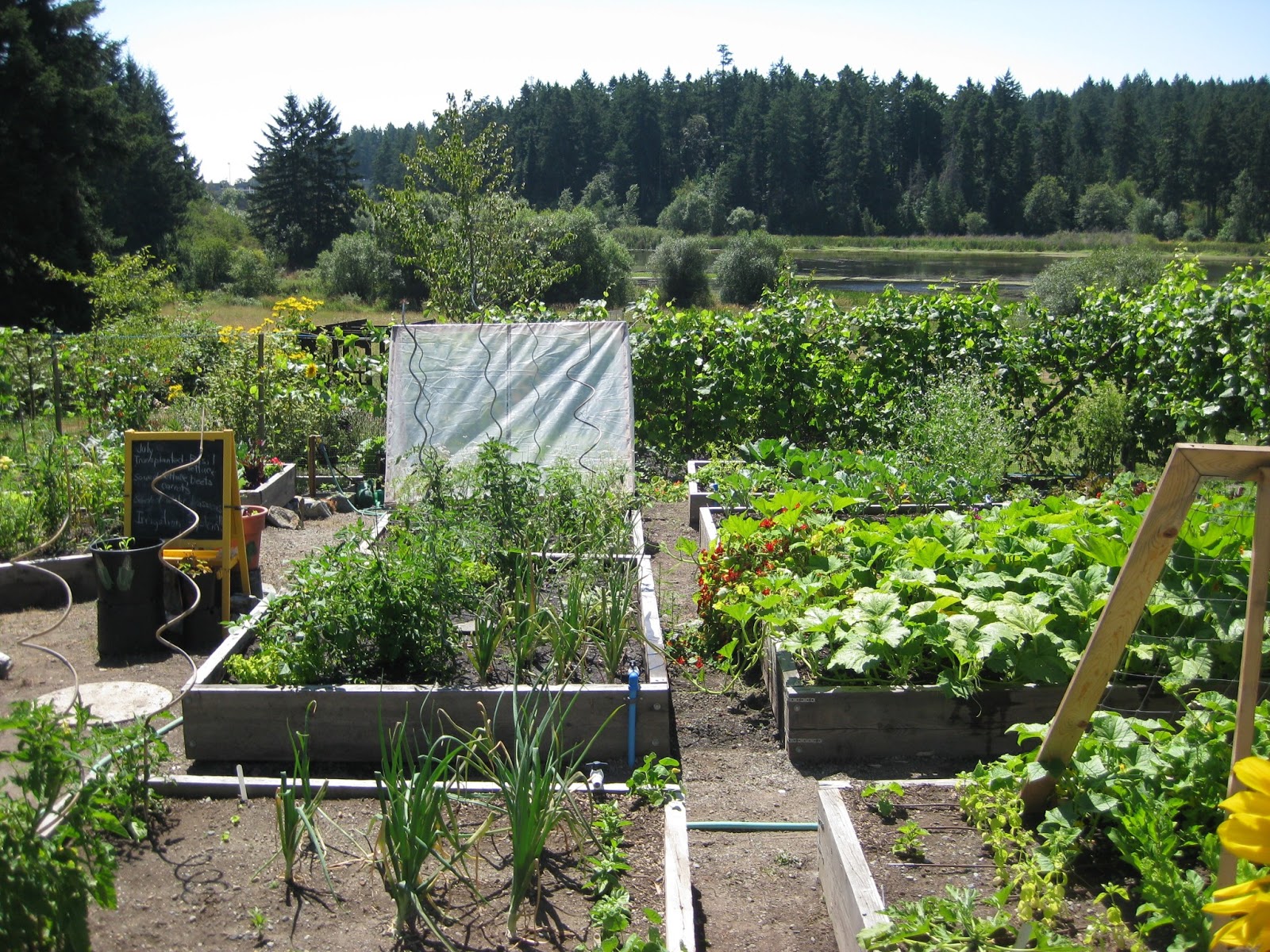 Rotary Botanical Gardens Hort Blog Vancouver Island (Day 2)