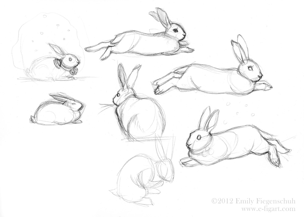 Using Bunny Sketches For Greeting Cards