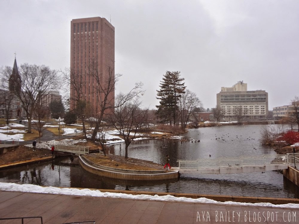 UMass Amherst campus pond and view of the library and student union