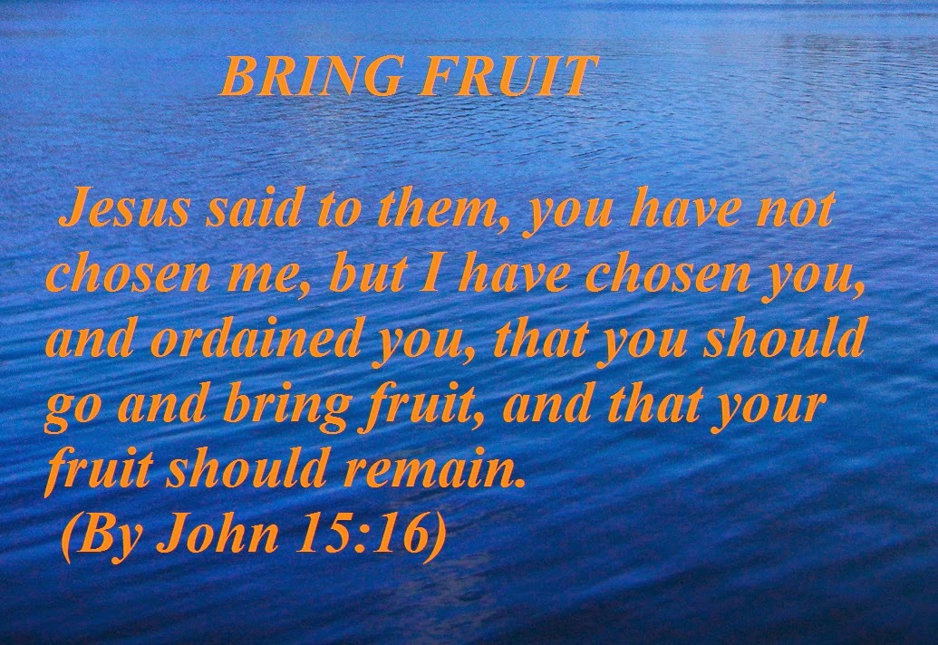 HOLY WORD BRING FRUIT