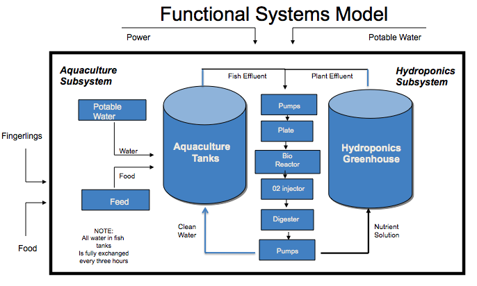 Aquaponics Business Plan Templates