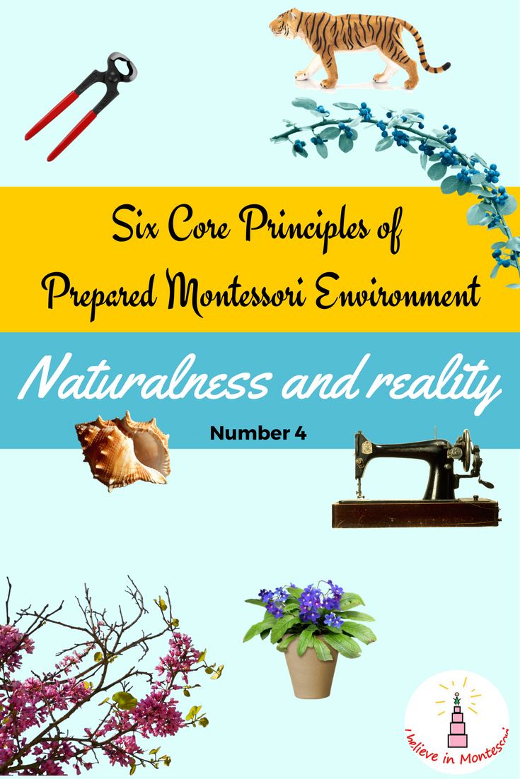 I Believe in Montessori 6 Core Principles of Prepared Montessori