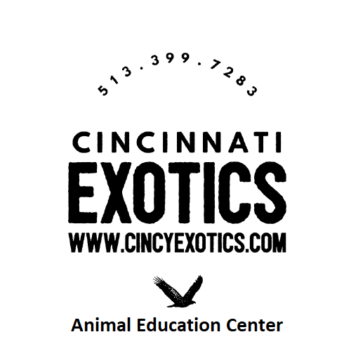 Cincy Exotics