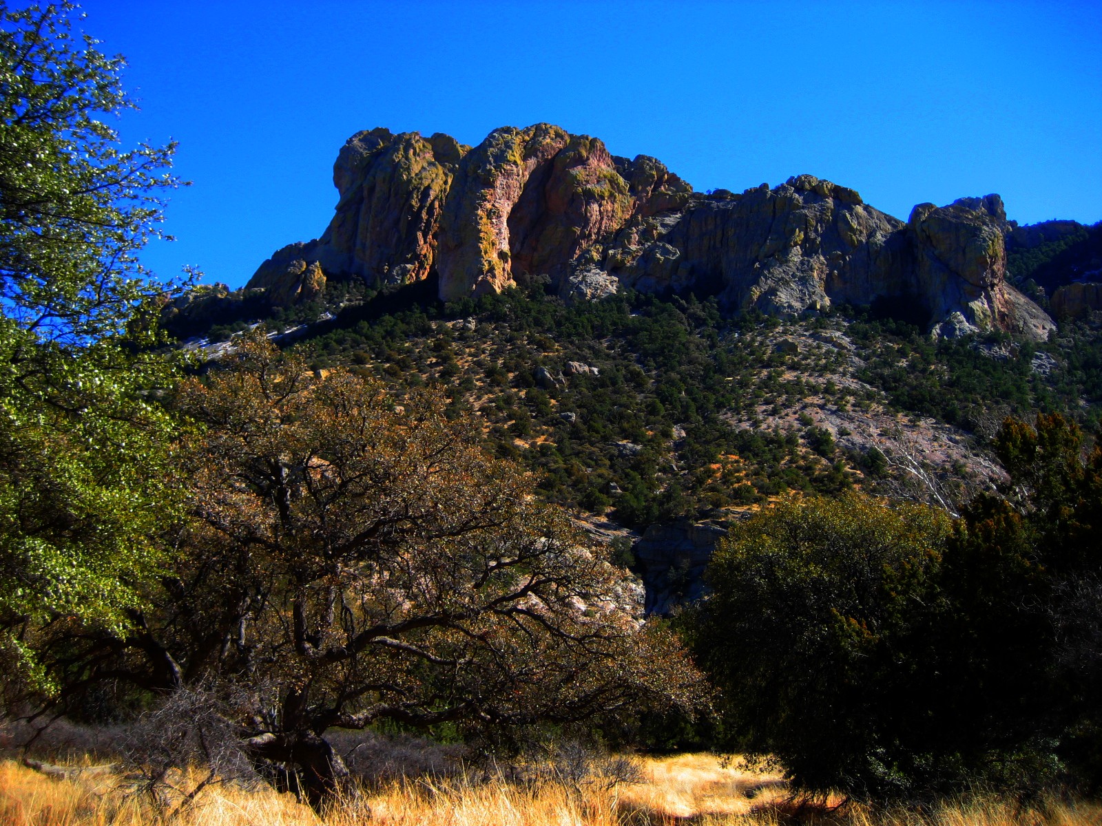 Living Rootless Cave Creek Canyon, Arizona Shining Colors