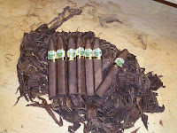 cigar history