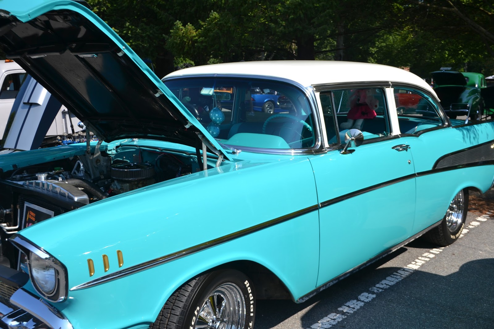 It's All About Purple Allaire State Park Car Show Part II