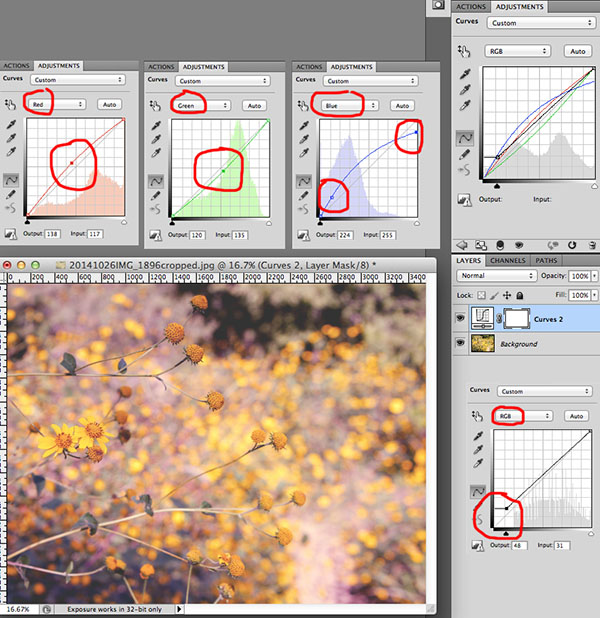 The Blog Tutorial "Claret Blush