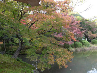 【京都府】京都府立植物園 池