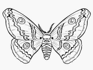 Coloring Pages: Coloring Pages for Girls Free and Printable