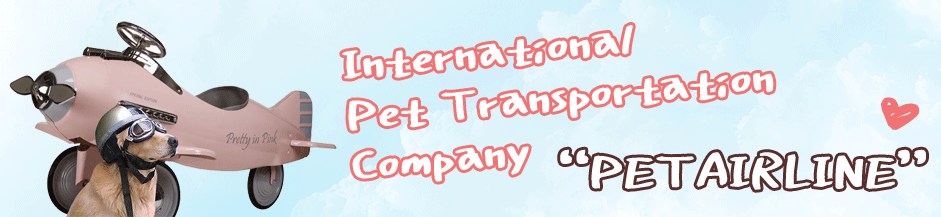 International pet transportation company Petairline