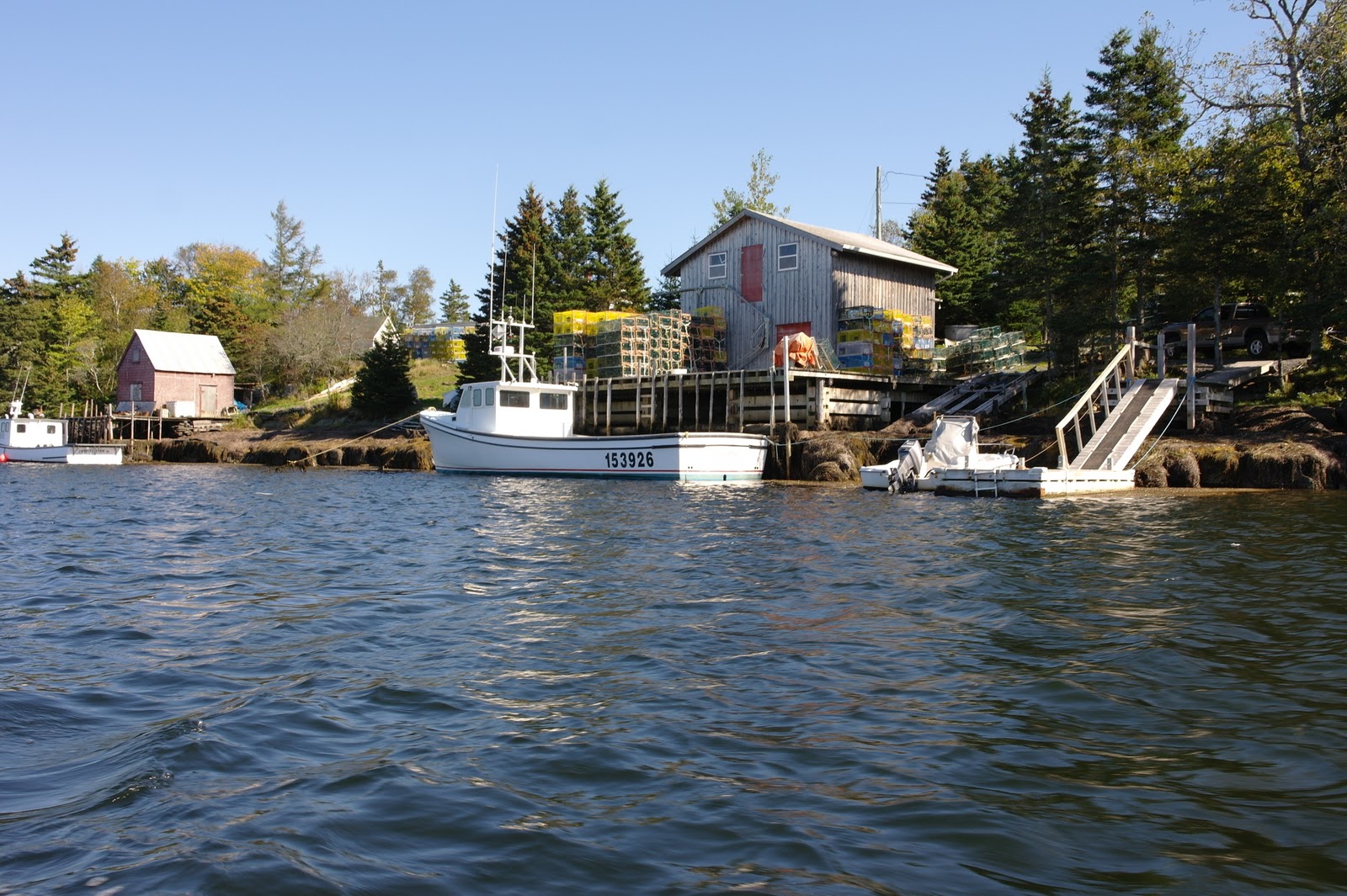 lion king op wereldreis Novo Scotia