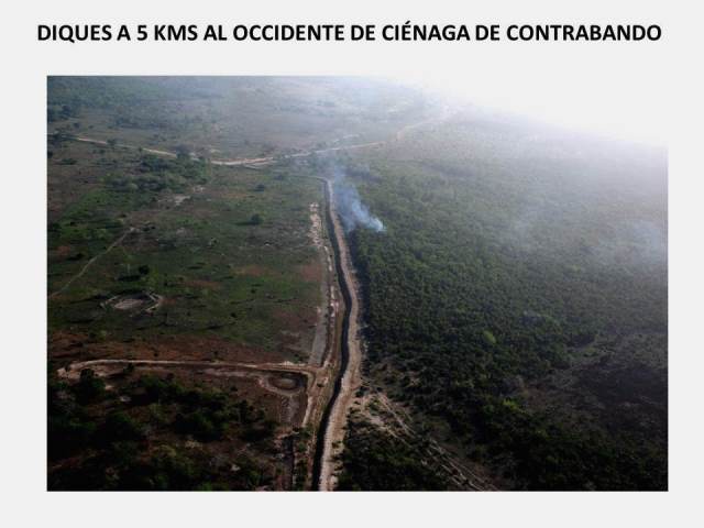 Destrucción ambiental de la Ciénaga Grande de Santa Marta