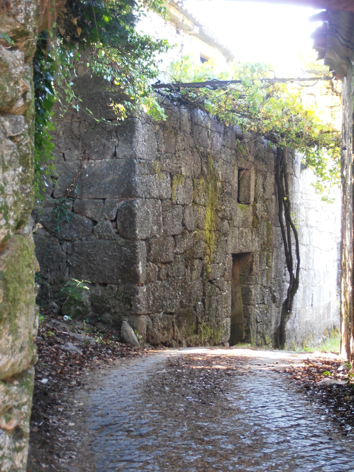 Os nossos pontos de fuga: Serra do Gerês - Volta da Geira Romana