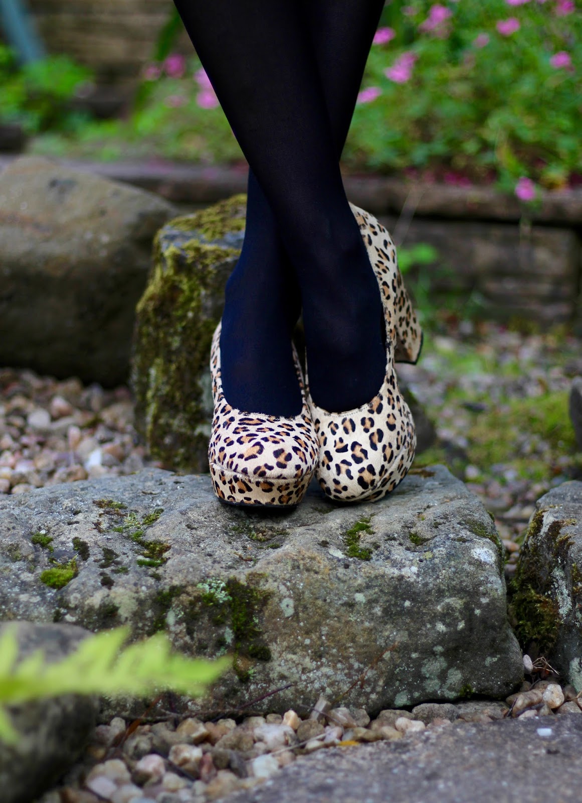 Fake Fabulous | Simple workwear, black Finery pencil skirt, camel cashmere John Smedley jumper, Office leopard shoes.