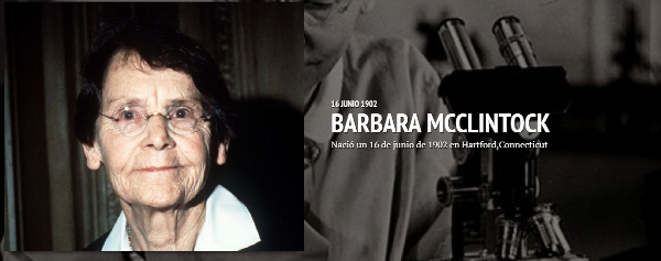 Bárbara Mcclintock Timeline