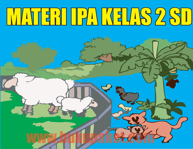 Materi IPA Kelas 2 SD/MI Semester 1/2 Lengkap