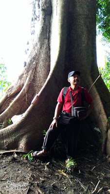 puncak halinjuangan desa mawangi kec padang batung