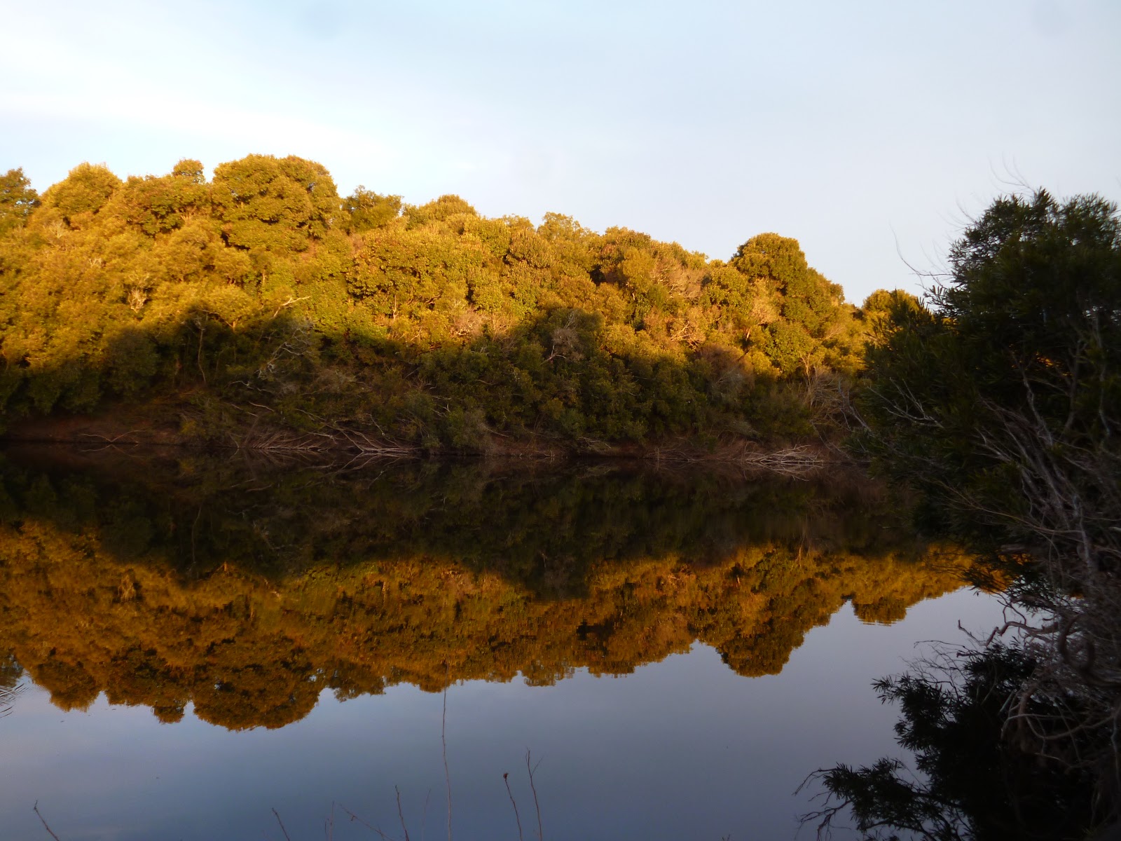 FOTOGRAFIAS TU CONFIDENTE Río San José