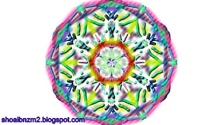 flowers for flower lovers.: April 2013