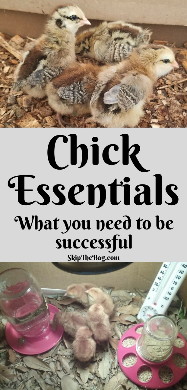 Skip The Bag Baby Chick Essentials