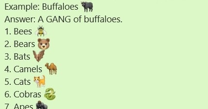 Give the names of the groups of animals | Puzzles World