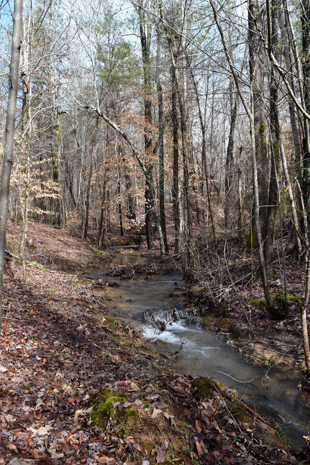 Leahaven Our Wet Weather Creek