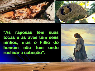 Resultado de imagem para As raposas têm suas tocas e as aves dos céus têm seus ninhos; mas o Filho do Homem não tem onde reclinar a cabeça