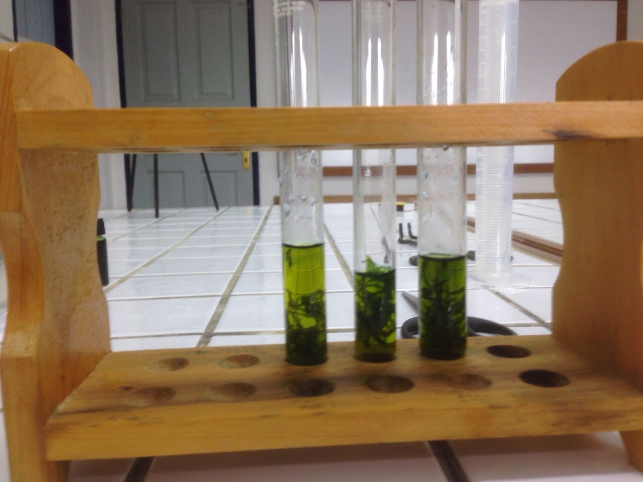 That Science Info Photosynthesis Experiment Carbon Dioxide