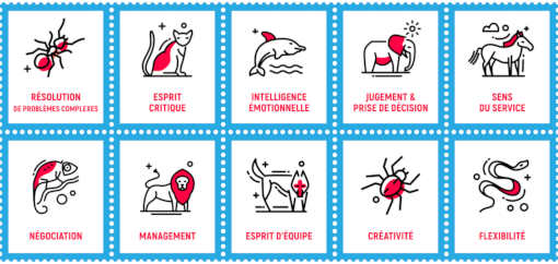 Soft skills : quelles sont celles que les entreprises s'arrachent ? - Infographie © Fleur Chrétien