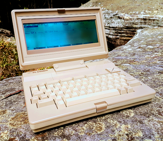 Portable computer out in the wild