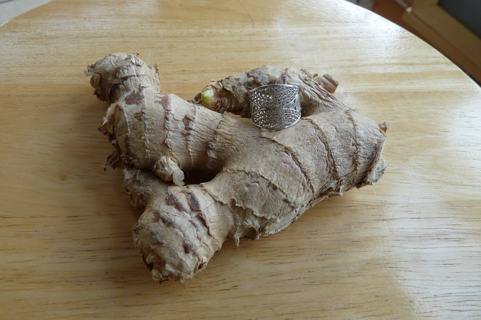 AP Biology Summer Assignment Rhizome