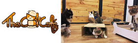 The Cat Cafe logo and photo