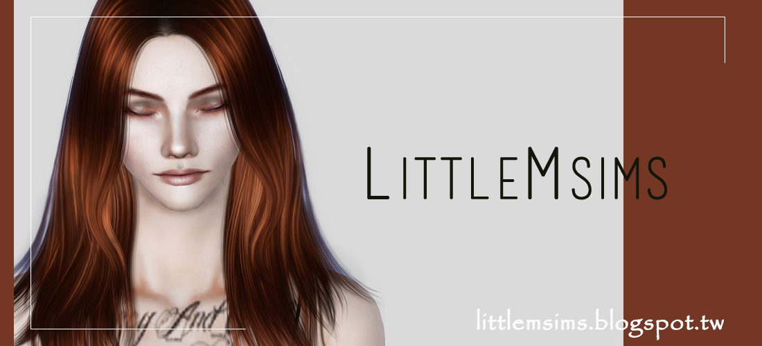 LittleM_Sim