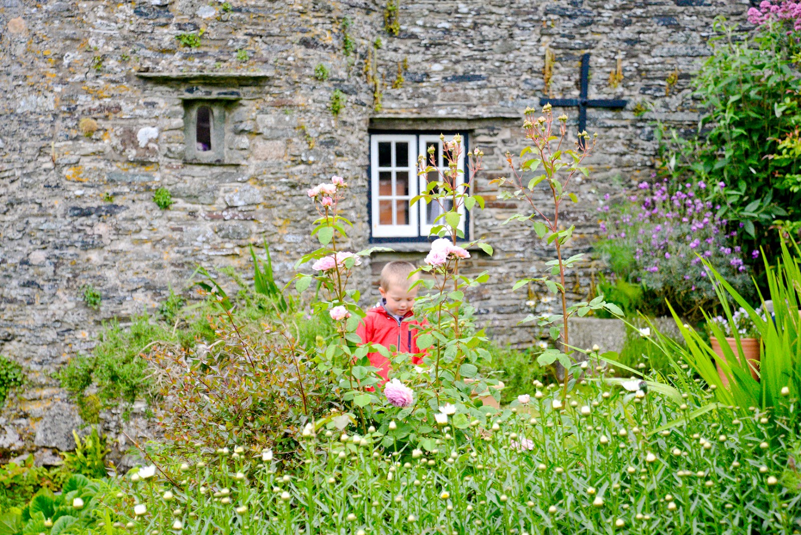 the old post office tintagel, tintagel, old post office,family travel, uk family holidays with kids