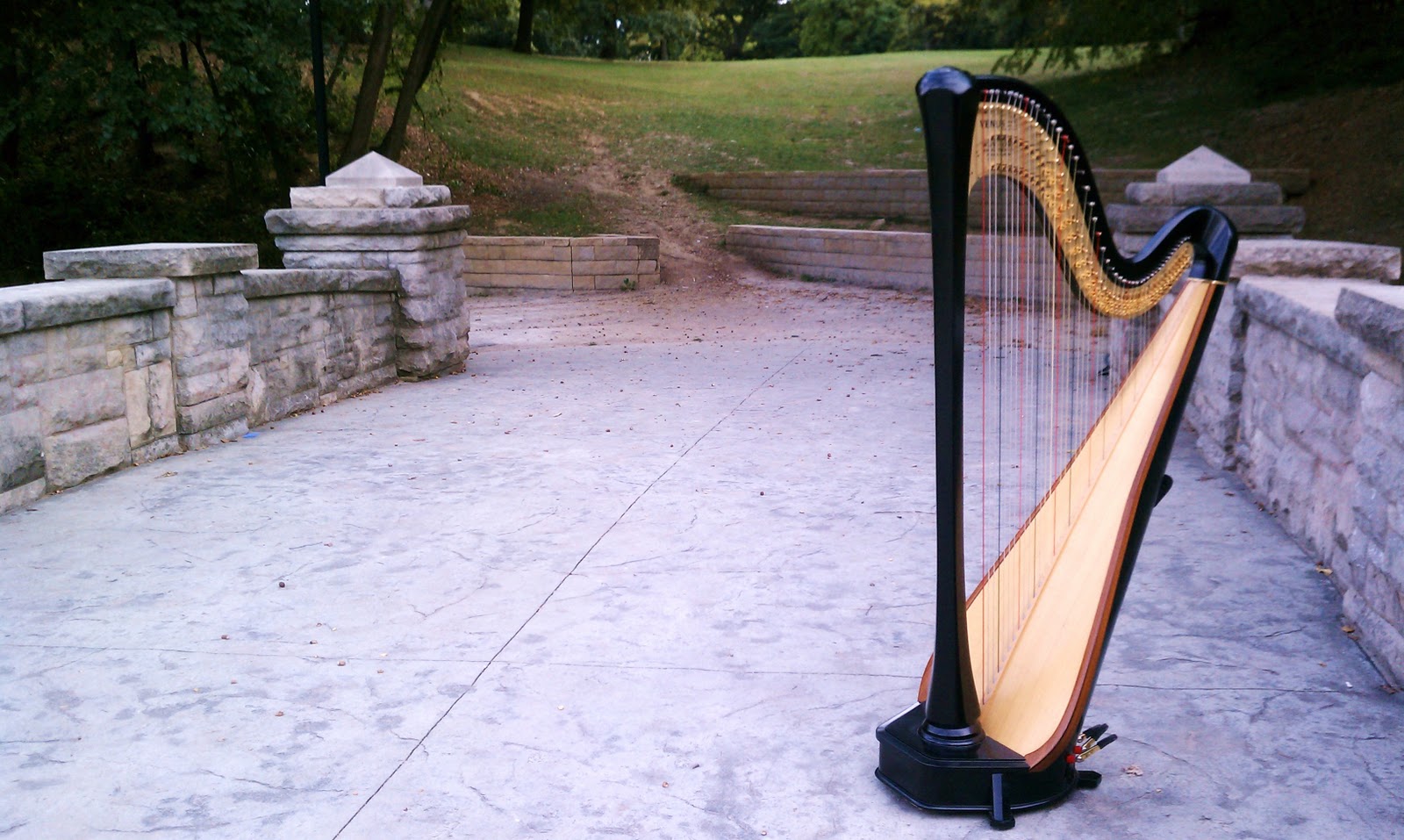 Harpist Near Me Find Your Local Musical Maestro