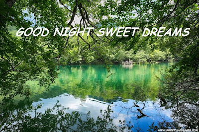 Good Night and Sweet Dreams