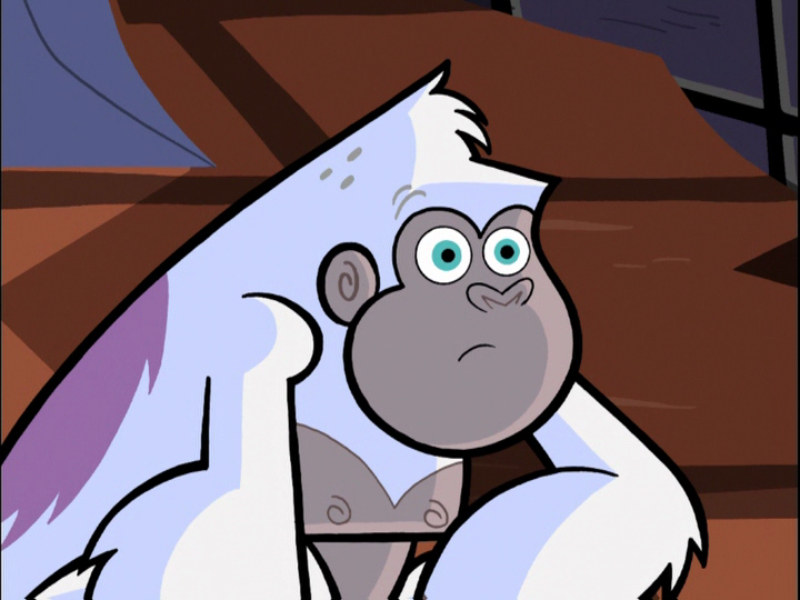 danny phantom air force 1