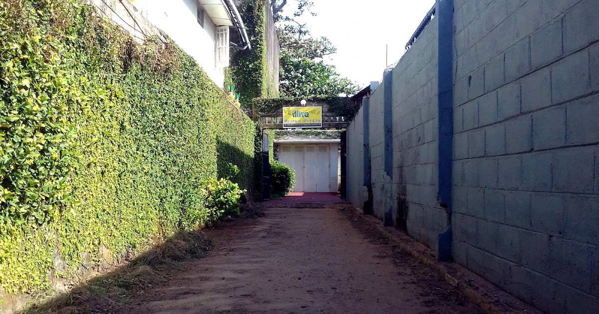 Sri Lanka Body Massage Center & Spa Best Directory in Colombo Terms