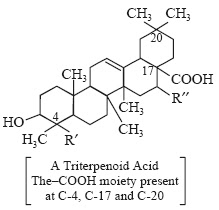 A Triterpenoid Acid