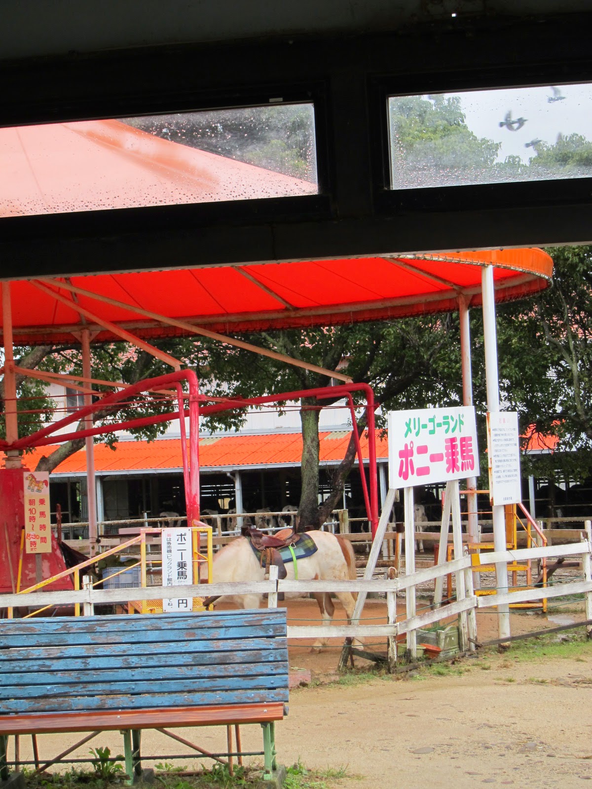 小艾的夢想之旅 日本關西 體驗日本生活之旅day4 另人嚮往夢境般的小島 淡路島 跟著narcissu去旅行吧