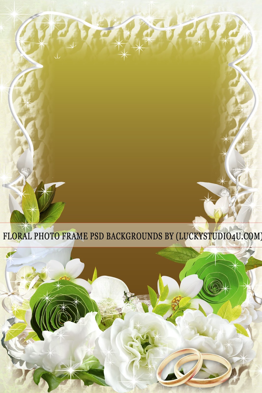 Floral Photo Frame Psd Backgrounds Download StudioPk
