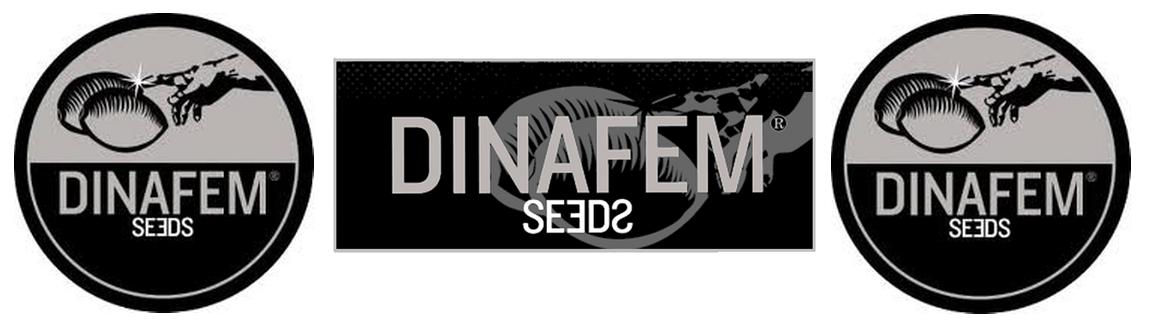 DinaFem Genetics Online