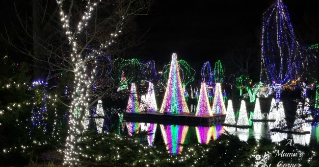 Columbus Ohio In Christmas 2022 Wildlight 7 Things To Know When Planning A Visit To Wildlights At The Columbus Zoo &  Aquarium In Columbus, Ohio ~ A Mama's Corner Of The World