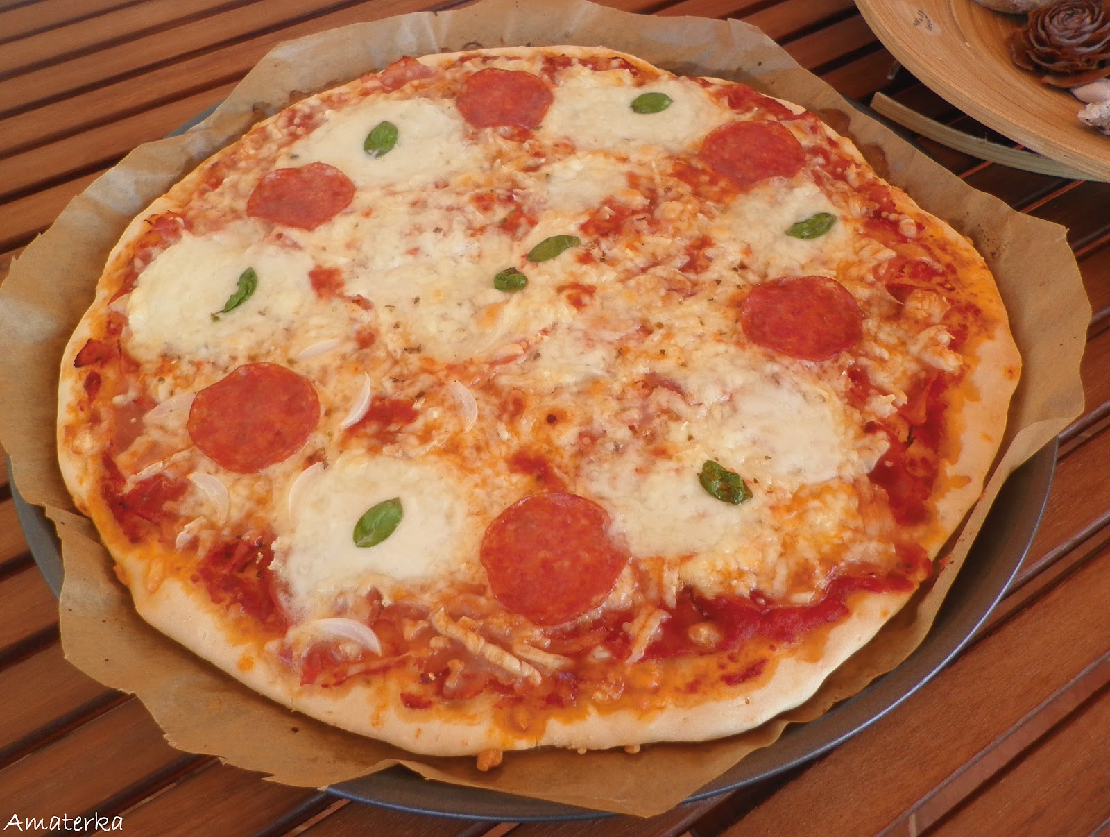 Pizza sa salamom i lukom/Pizza with salami and onion