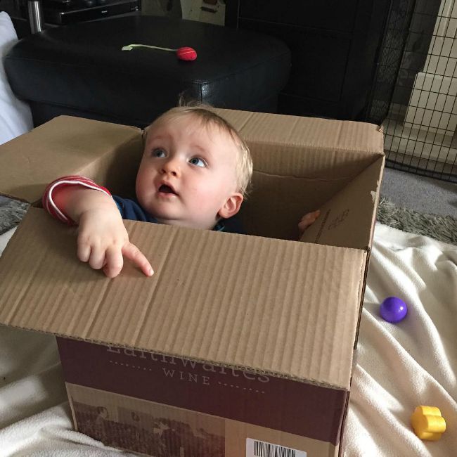 Baby in cardboard box looking up